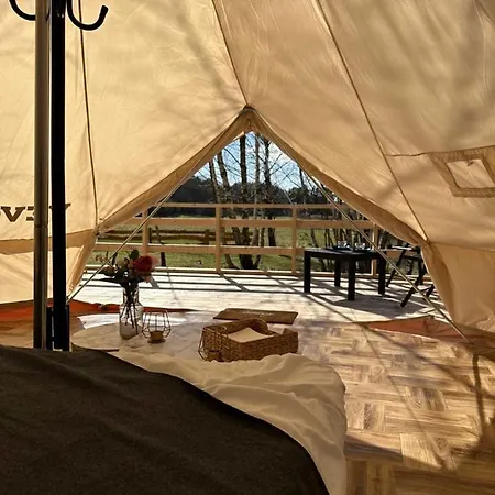 Brzozowisko Tuchomko - Glamping Luxuszelt
