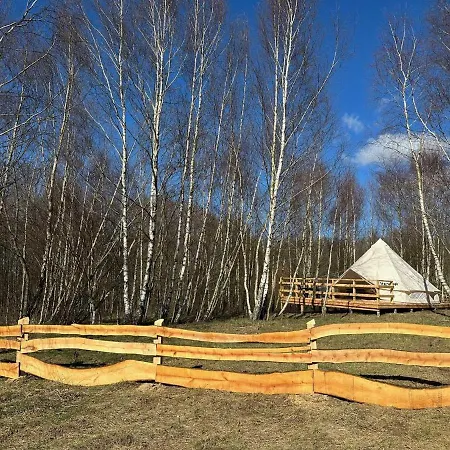 Brzozowisko Tuchomko - Glamping *