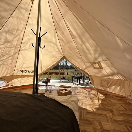 Brzozowisko Tuchomko - Glamping Campo de lujo Tuchomie