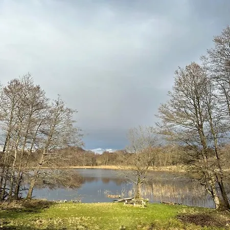 Brzozowisko Tuchomko - Glamping Tuchomie