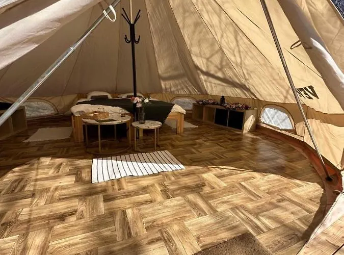 Brzozowisko Tuchomko - Glamping *