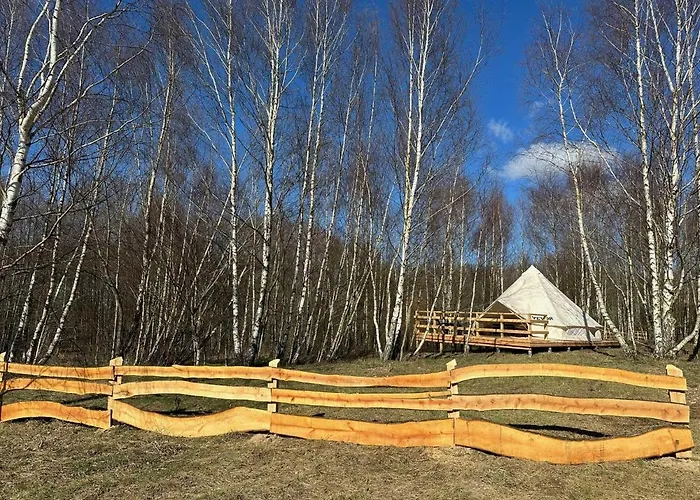 Brzozowisko Tuchomko - Glamping *