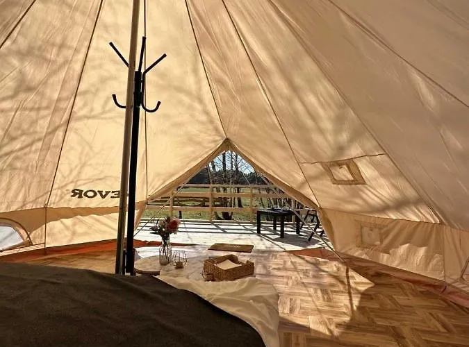 Brzozowisko Tuchomko - Glamping Glamping Tuchomie