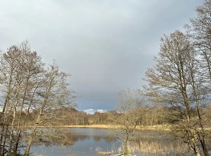 Brzozowisko Tuchomko - Glamping Tuchomie